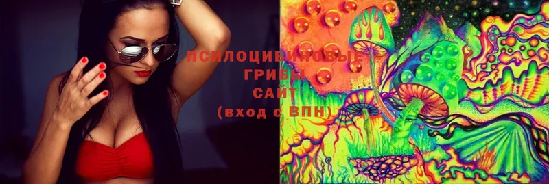 Псилоцибиновые грибы Cubensis  Коммунар 